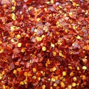 לבן בצל בצבע